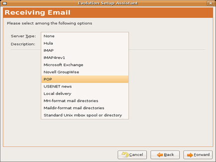 Email setup screen with POP server selected.
